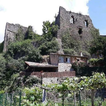 Gite Du Chateau De Retourtour Lamastre Exteriör bild